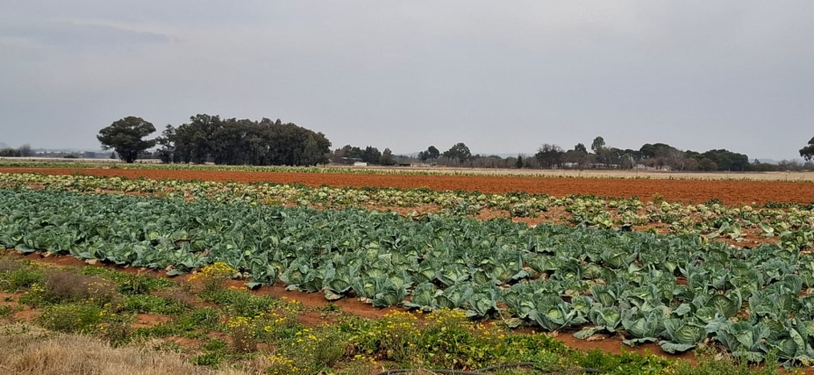 Commercial Property for Sale in Bainsvlei Free State